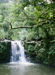 Get out into nature to de-stress