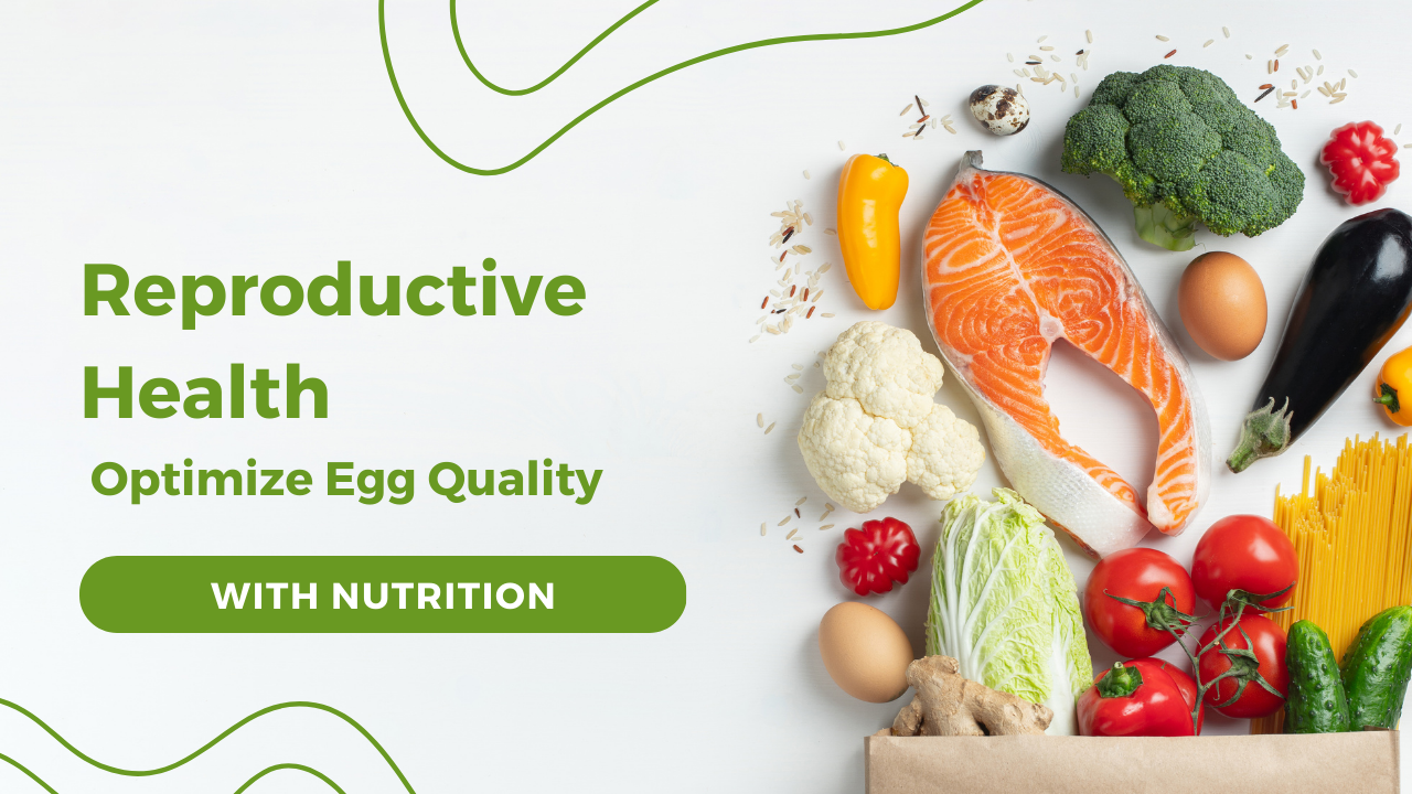 Reproductive Health: Optimize Egg Quality with Nutrition