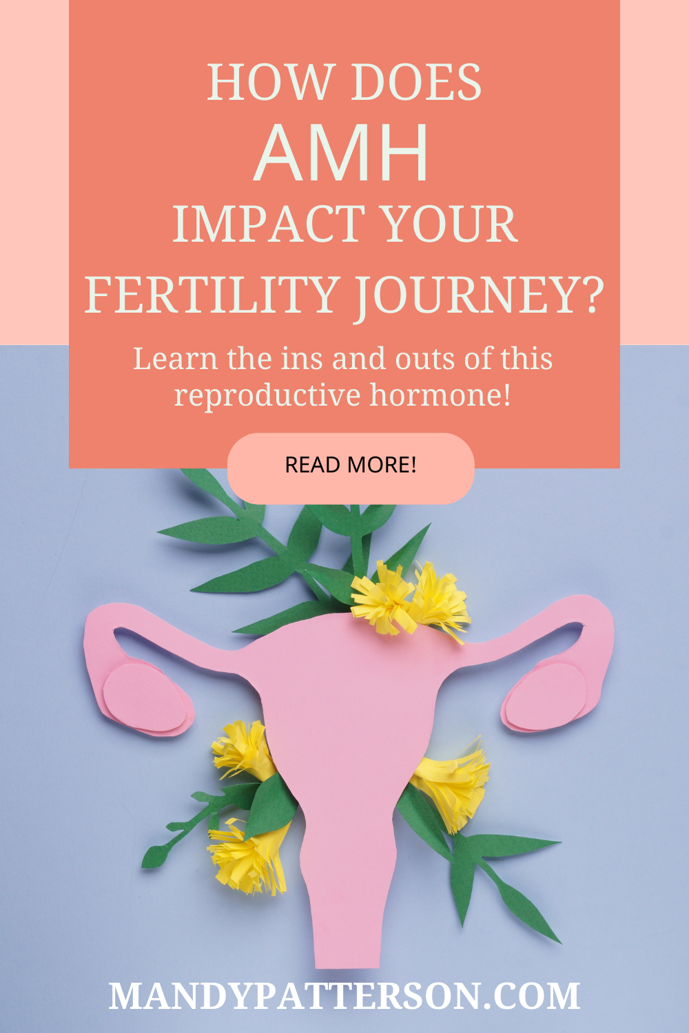 How Does AMH Impact Your Fertility Journey